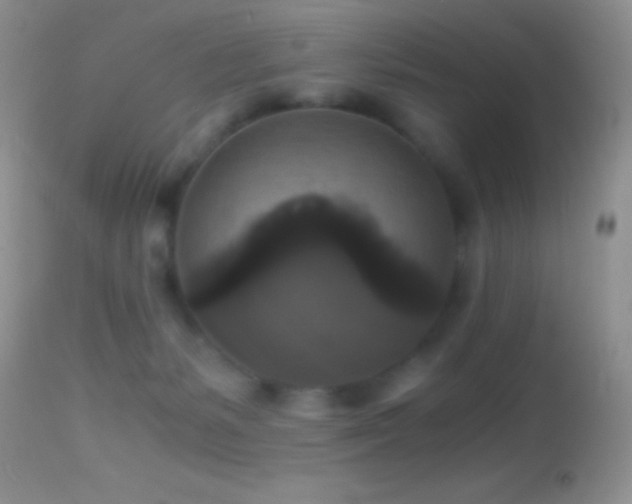 X0000114640127200910201451