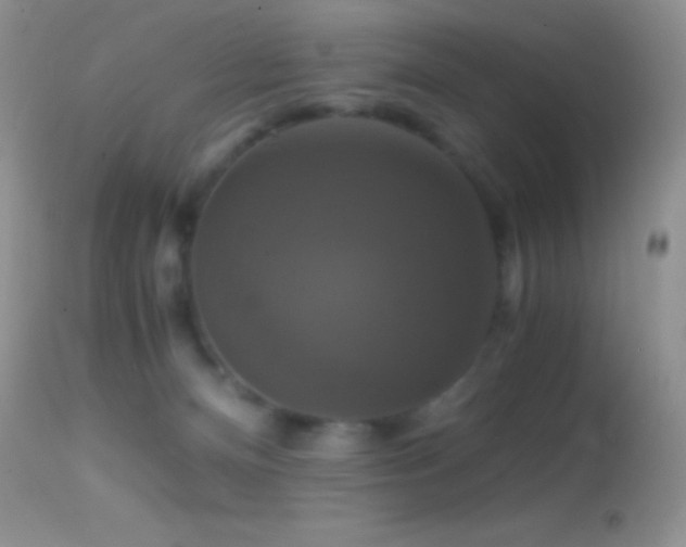 X0000114640128200910201451