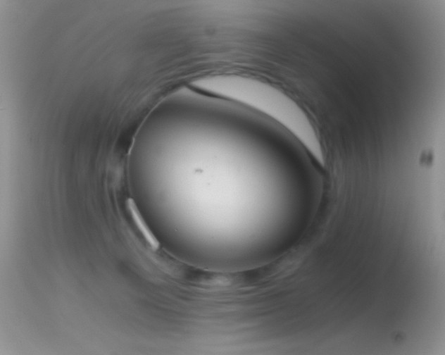 X0000114640129200910201451