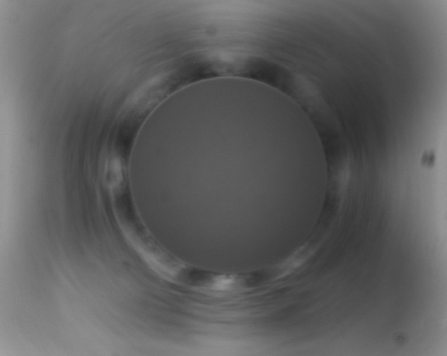X0000114640130200910201451