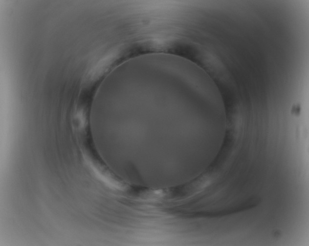 X0000114640131200910201451