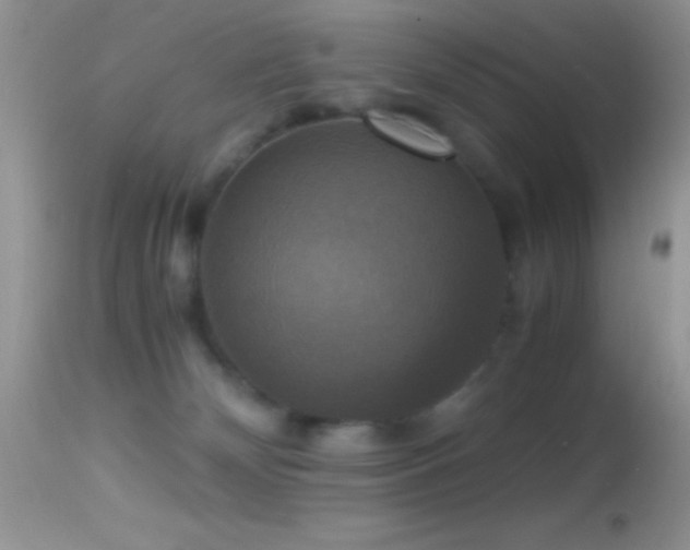 X0000114640132200910201451