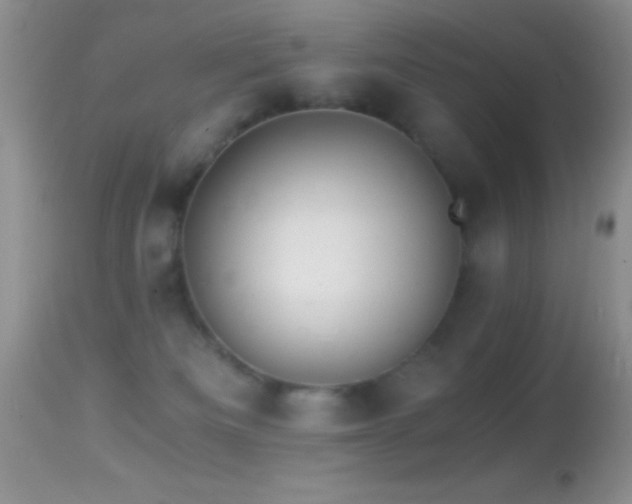 X0000114640133200910201451