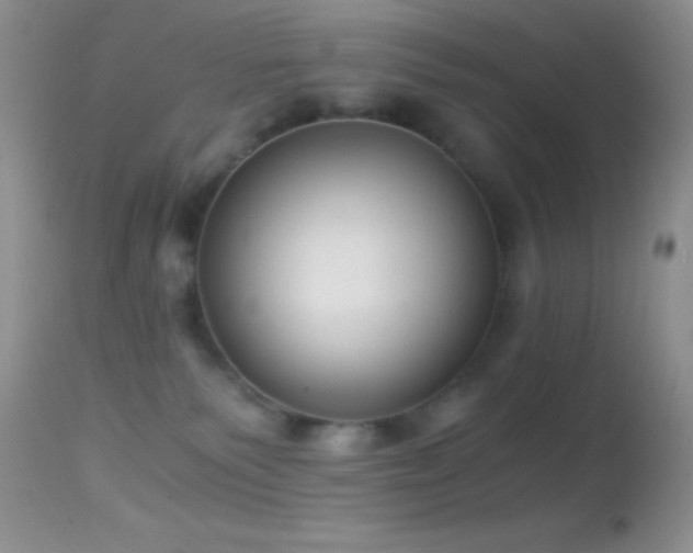 X0000114640135200910201451
