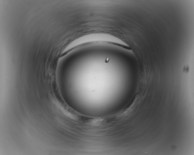 X0000114640136200910201451