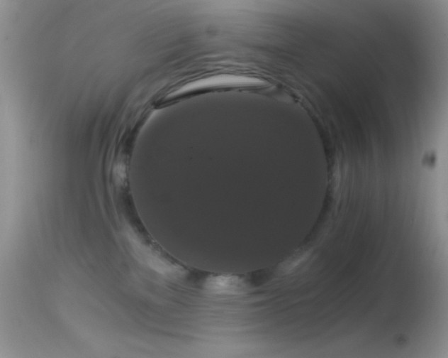 X0000114640137200910201451