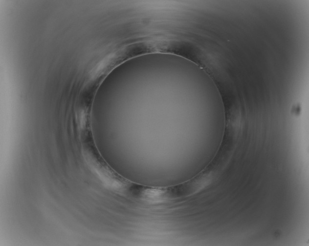 X0000114640139200910201451
