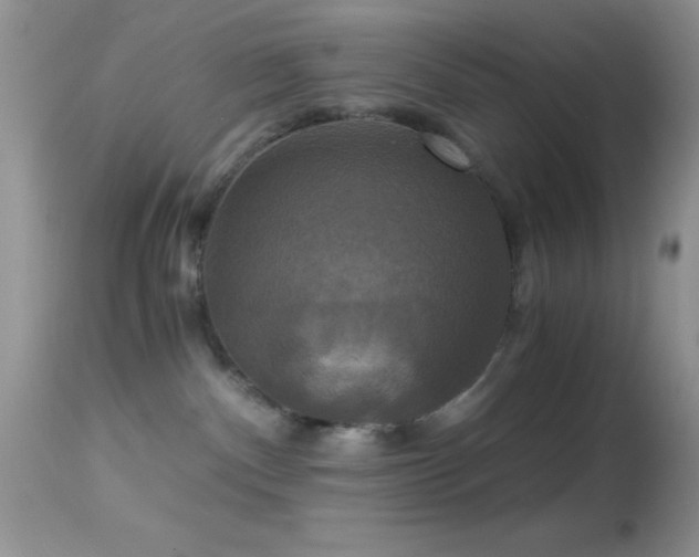 X0000114640140200910201451