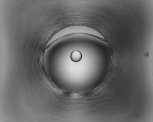 X0000114640141200910201451