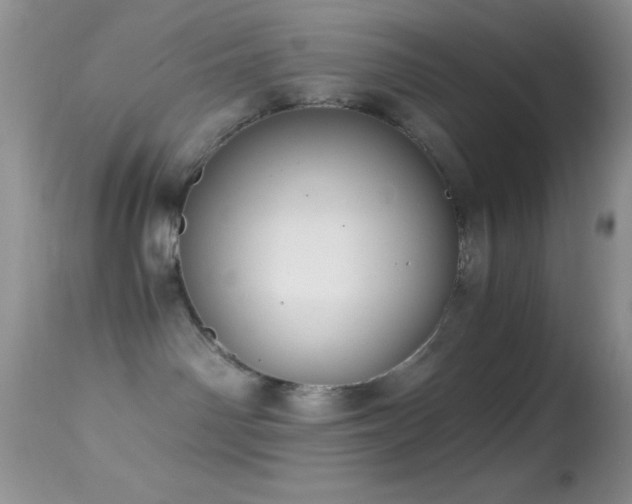 X0000114640142200910201451