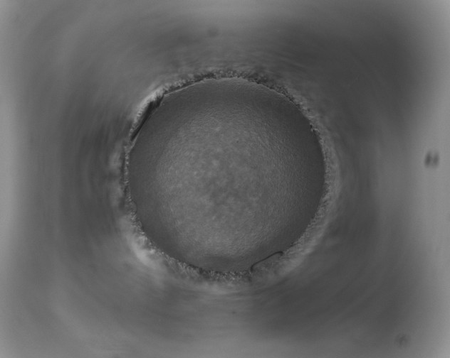 X0000114640144200910201451