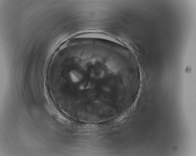 X0000114640145200910201450