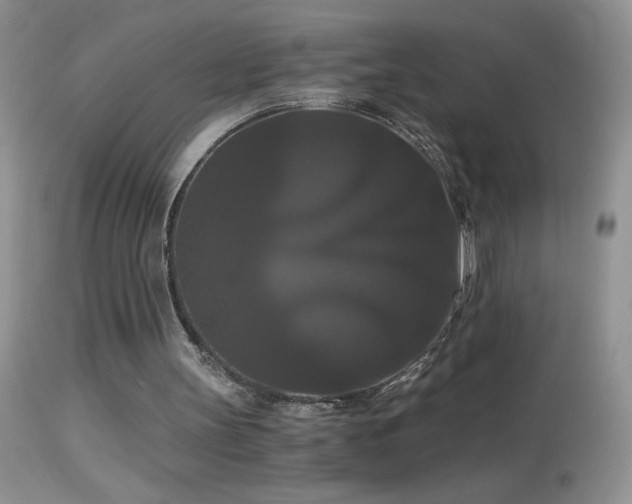X0000114640147200910201450