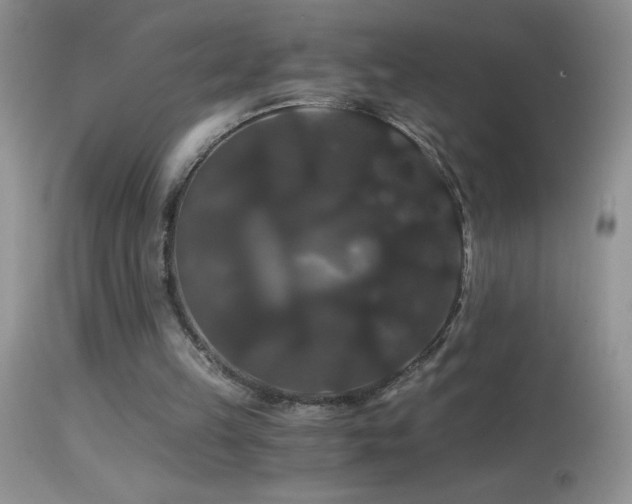 X0000114640149200910201450