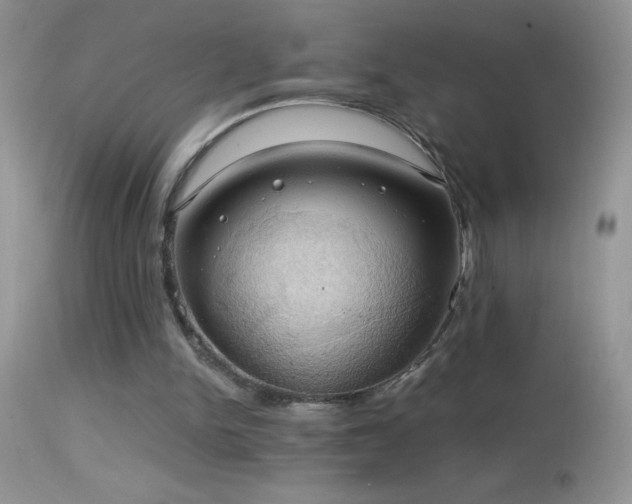 X0000114640150200910201450
