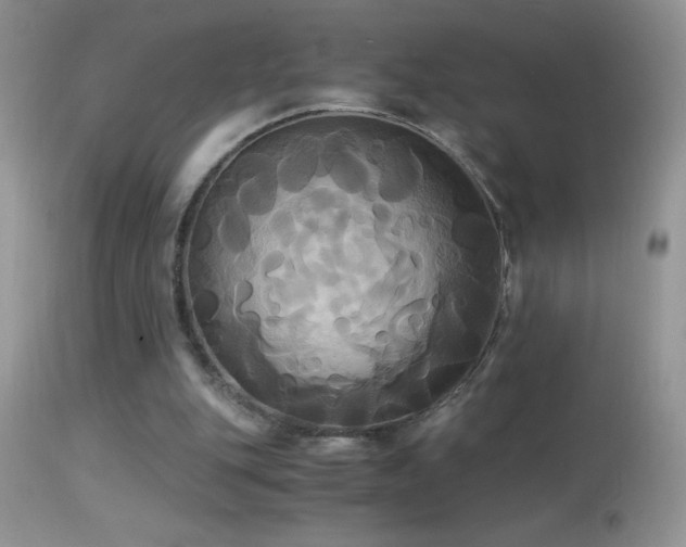 X0000114640151200910201450