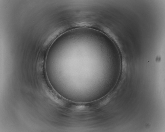 X0000114640153200910201450