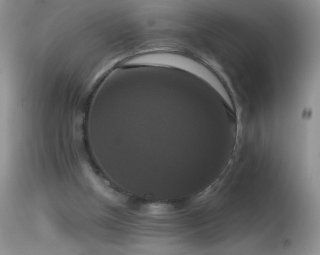 X0000114640154200910201450
