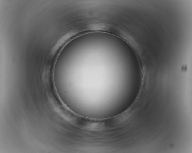X0000114640155200910201450