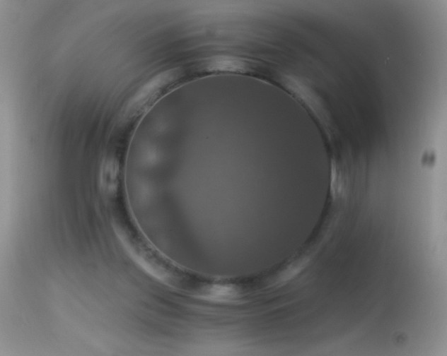 X0000114640157200910201450