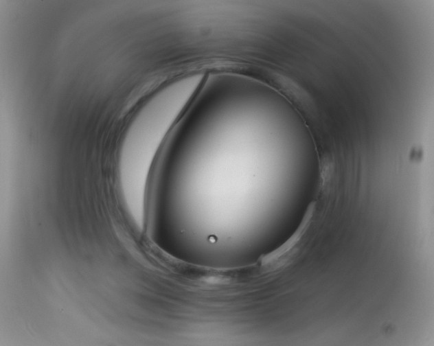 X0000114640158200910201450