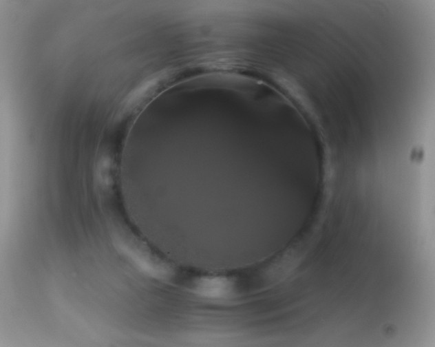 X0000114640161200910201450