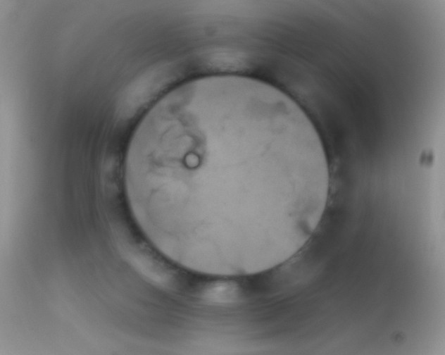 X0000114640162200910201450