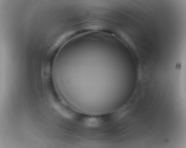 X0000114640163200910201450