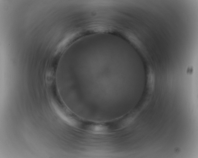 X0000114640165200910201450