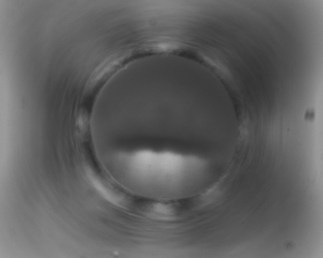 X0000114640166200910201450
