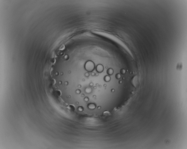 X0000114640167200910201450