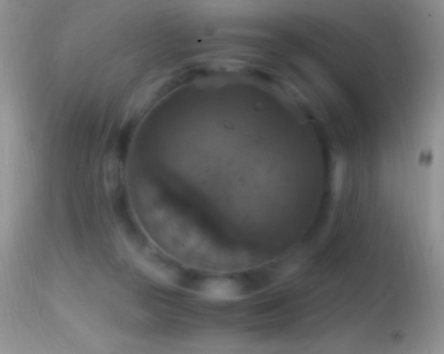 X0000114640169200910201450