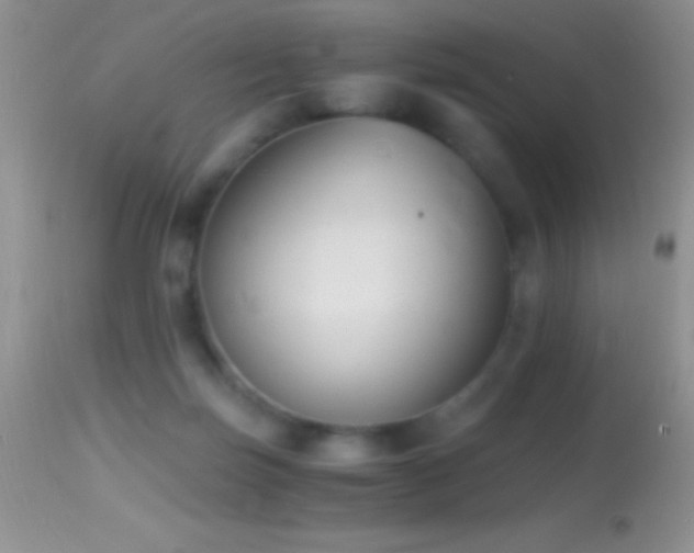 X0000114640171200910201450