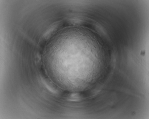 X0000114640173200910201450