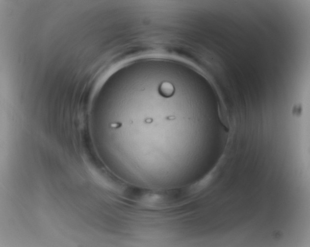 X0000114640174200910201450