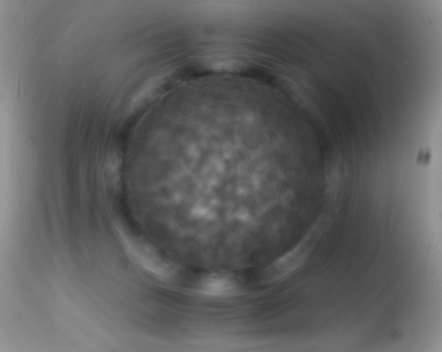 X0000114640175200910201451