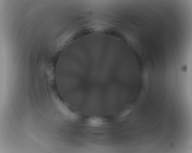 X0000114640181200910201451