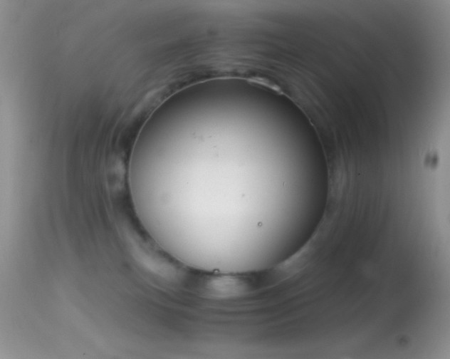 X0000114640183200910201451