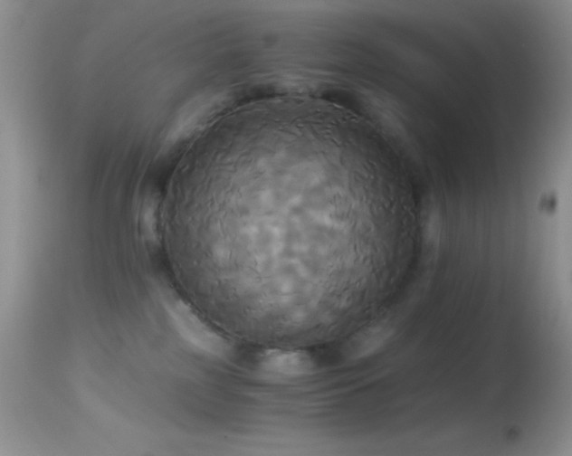 X0000114640185200910201451