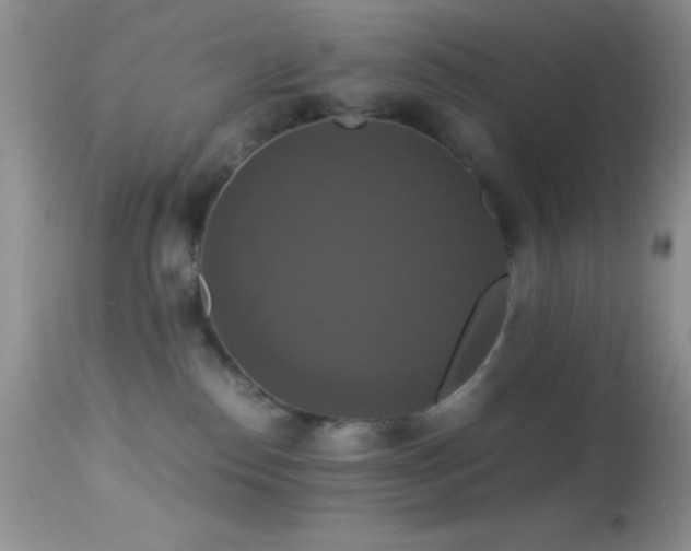 X0000114640186200910201451