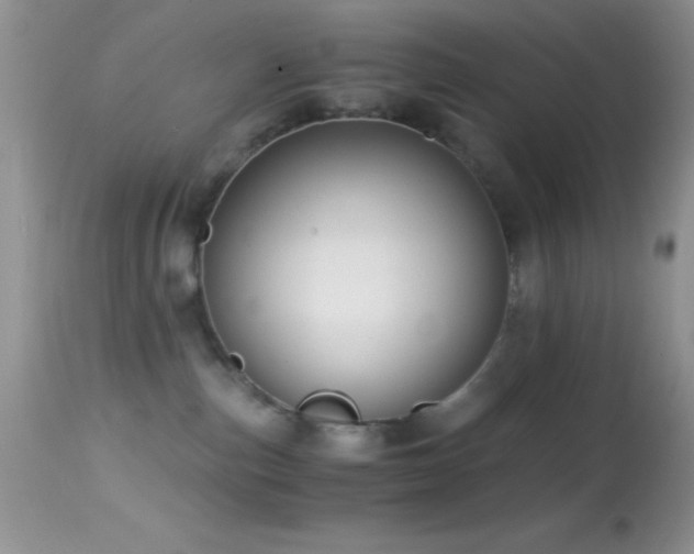 X0000114640187200910201451