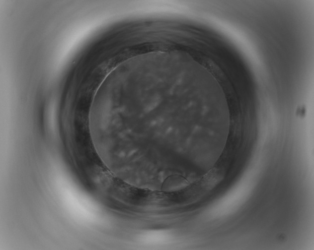X0000114640189200910201451