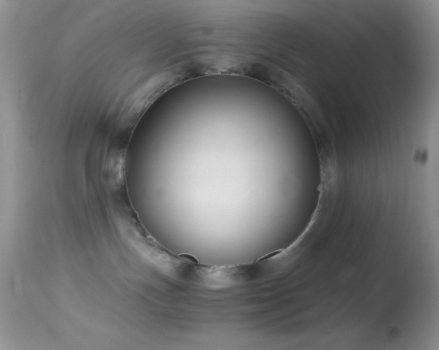 X0000114640191200910201451