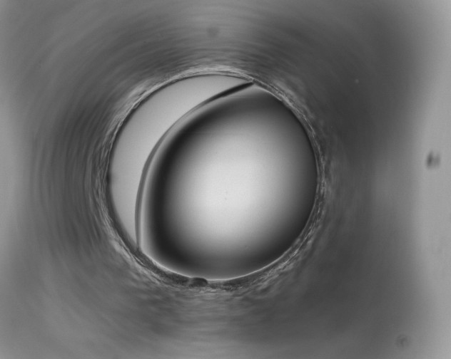 X0000114640193200910201450