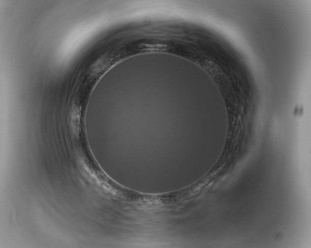 X0000114640194200910201450