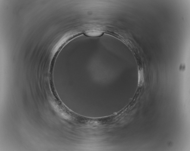 X0000114640195200910201450