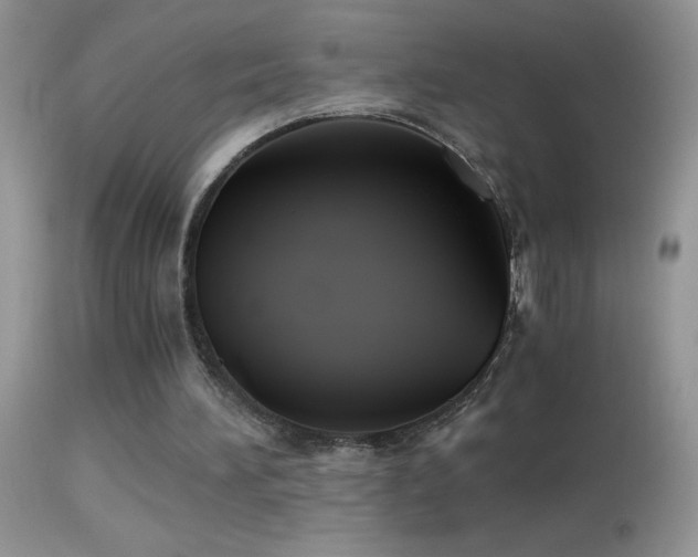 X0000114640196200910201450