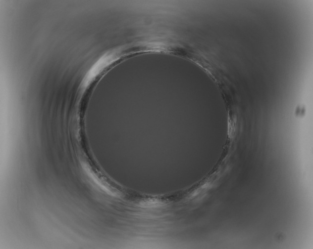 X0000114640198200910201450