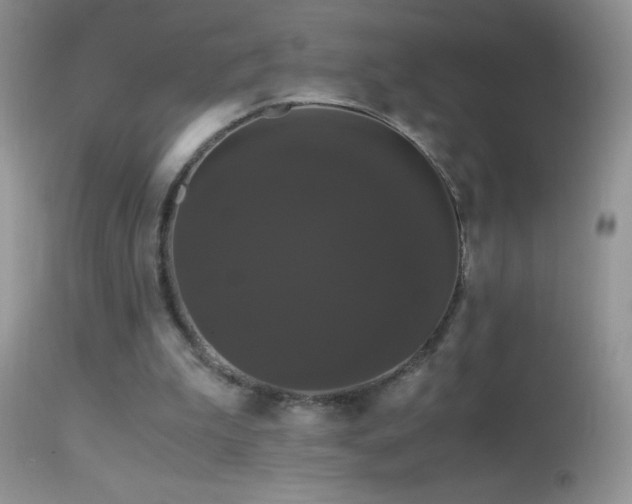X0000114640199200910201450