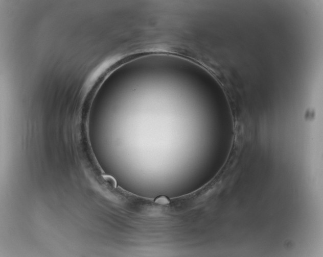 X0000114640200200910201450
